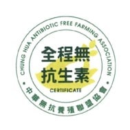 圖片10
