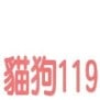 圖片45